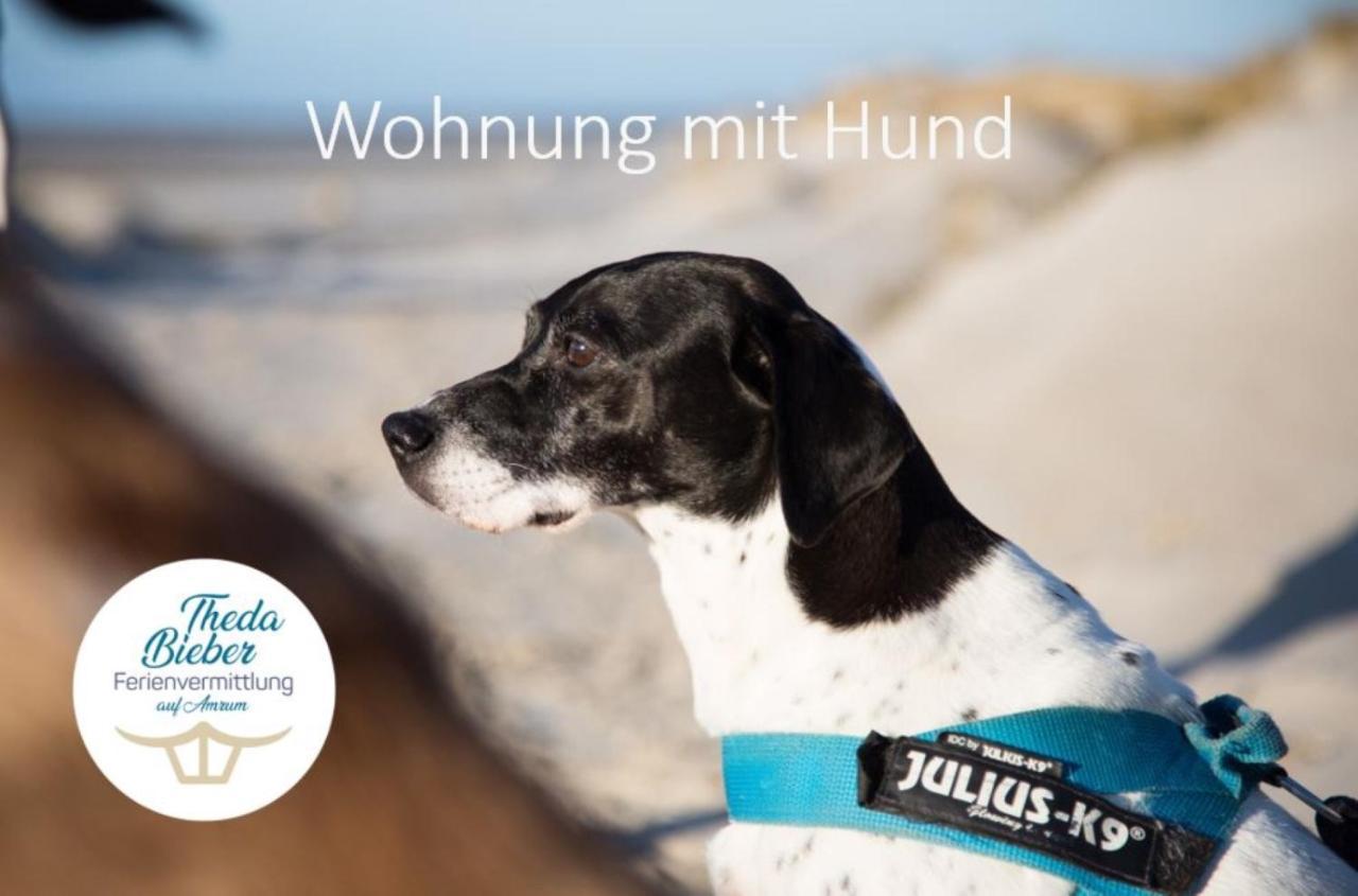 Haus Watthus - Wohnung Paradies Nebel Εξωτερικό φωτογραφία